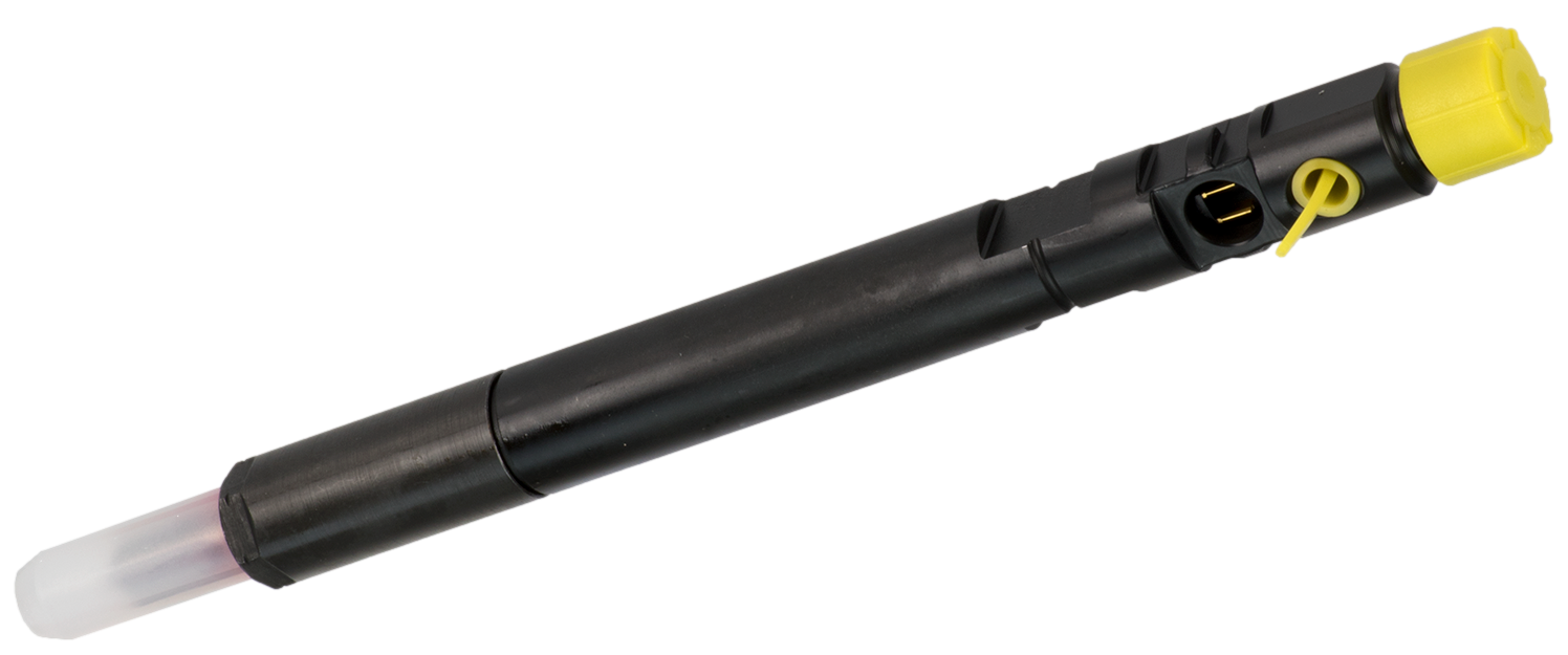 Delphi Common Rail Diesel Injector R04201D
